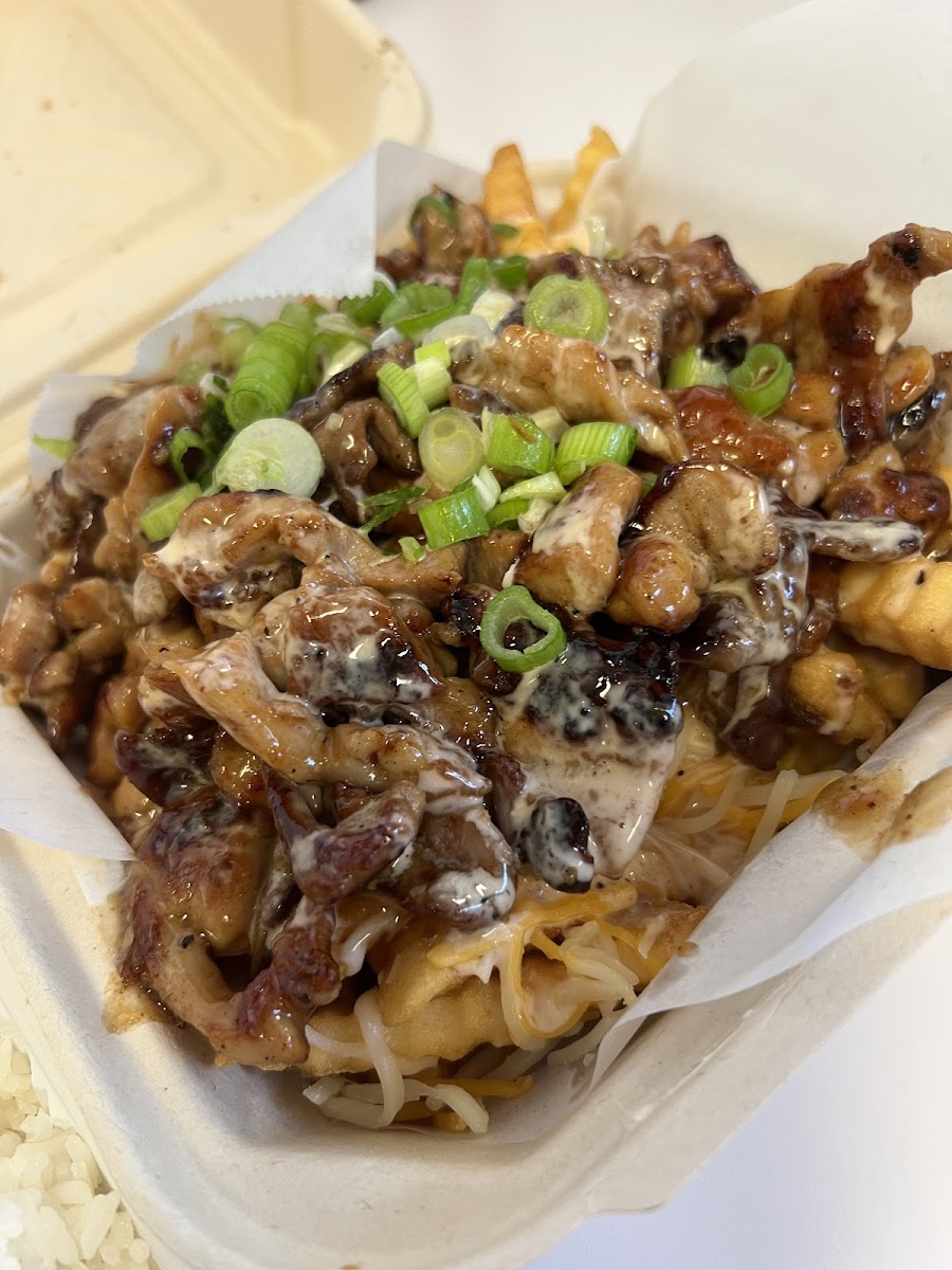 Mama Fresh Grill Teriyaki-4