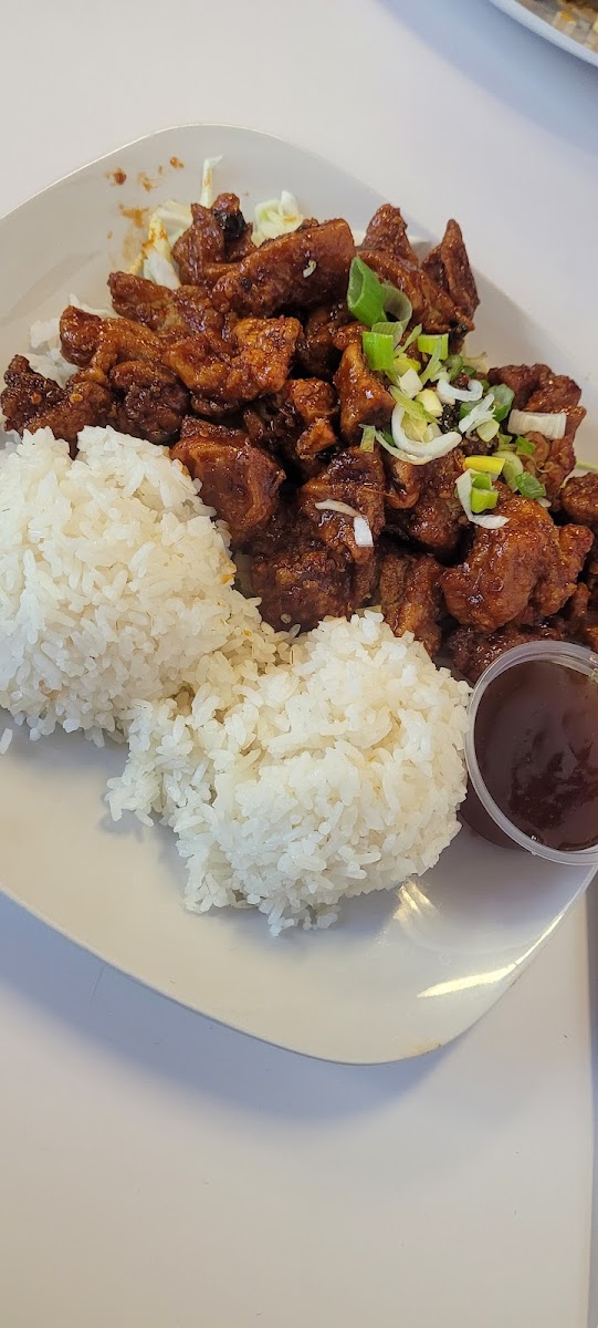 Mama Fresh Grill Teriyaki-6